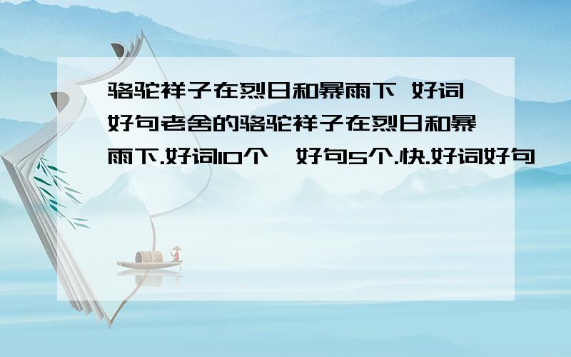 骆驼祥子在烈日和暴雨下 好词好句老舍的骆驼祥子在烈日和暴雨下.好词10个,好句5个.快.好词好句