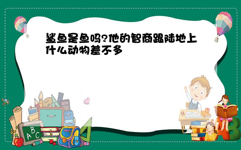 鲨鱼是鱼吗?他的智商跟陆地上什么动物差不多