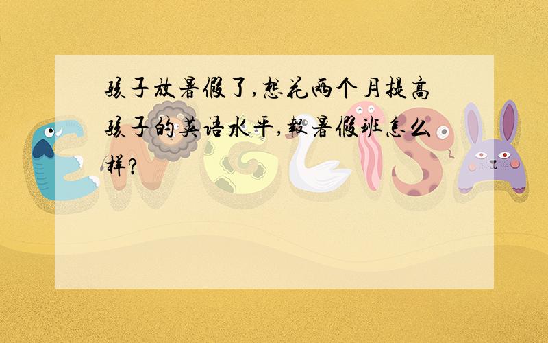 孩子放暑假了,想花两个月提高孩子的英语水平,报暑假班怎么样?