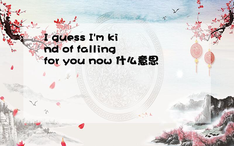 I guess I'm kind of falling for you now 什么意思