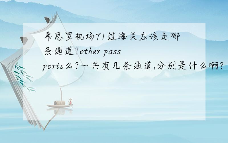 希思罗机场T1过海关应该走哪条通道?other passports么?一共有几条通道,分别是什么啊?