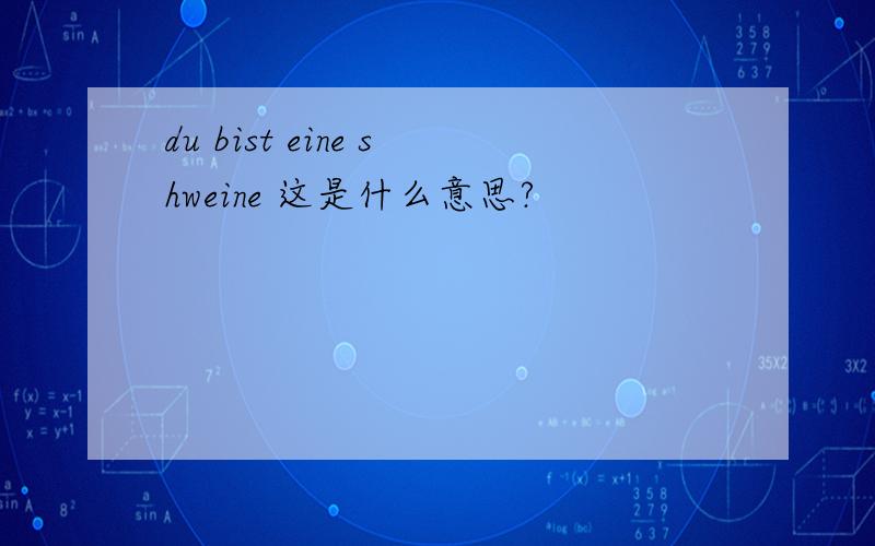 du bist eine shweine 这是什么意思?