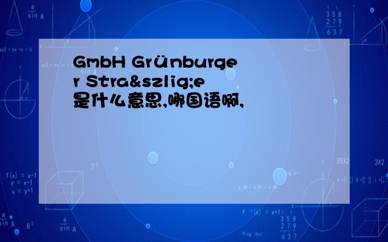 GmbH Grünburger Straße是什么意思,哪国语啊,