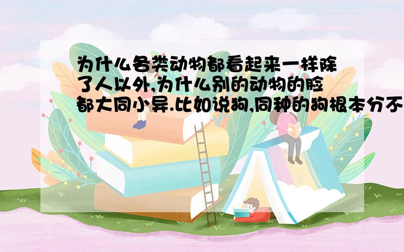 为什么各类动物都看起来一样除了人以外,为什么别的动物的脸都大同小异.比如说狗,同种的狗根本分不清哪只是哪只.谁知道为什么会这样?