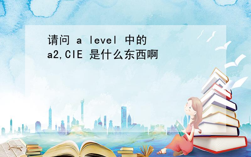 请问 a level 中的 a2,CIE 是什么东西啊