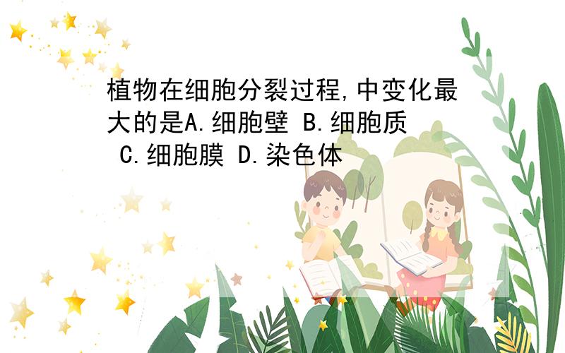 植物在细胞分裂过程,中变化最大的是A.细胞壁 B.细胞质 C.细胞膜 D.染色体