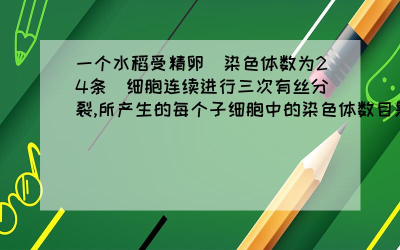 一个水稻受精卵(染色体数为24条)细胞连续进行三次有丝分裂,所产生的每个子细胞中的染色体数目是多少?