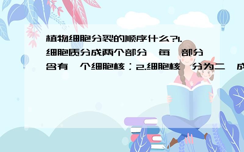 植物细胞分裂的顺序什么?1.细胞质分成两个部分,每一部分含有一个细胞核；2.细胞核一分为二,成为两个细胞核；3.新细胞核之间的细胞质中央形成新的细胞膜‘4.产生新的细胞壁.A.1234   B.2134