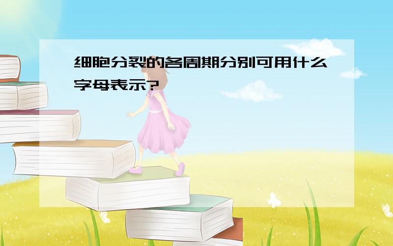 细胞分裂的各周期分别可用什么字母表示?