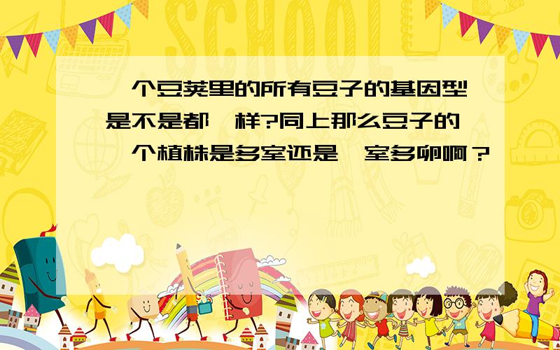 一个豆荚里的所有豆子的基因型是不是都一样?同上那么豆子的一个植株是多室还是一室多卵啊？