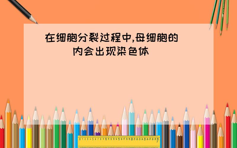 在细胞分裂过程中,母细胞的（   ）内会出现染色体