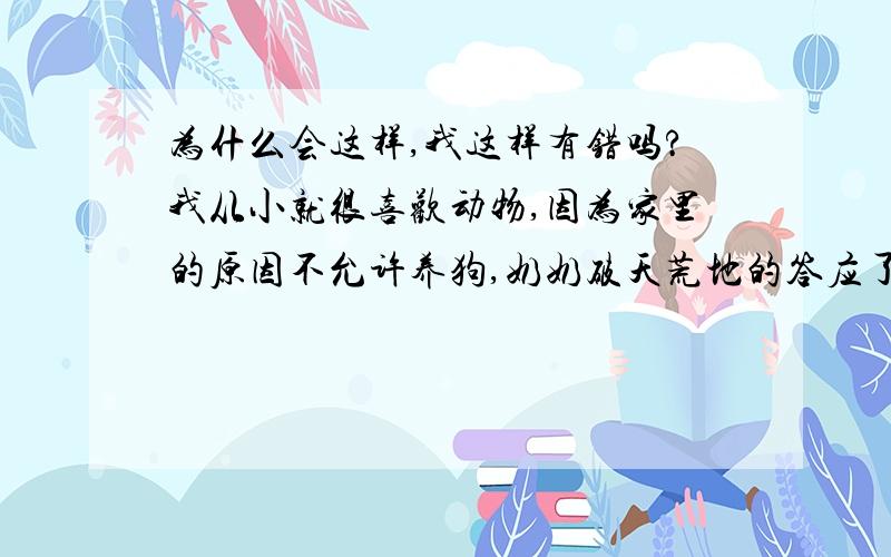 为什么会这样,我这样有错吗?我从小就很喜欢动物,因为家里的原因不允许养狗,奶奶破天荒地的答应了,不过要求狗的一切我负责,她一律不管,这点要求我当然同意,然后我们就养了小黑（浑身