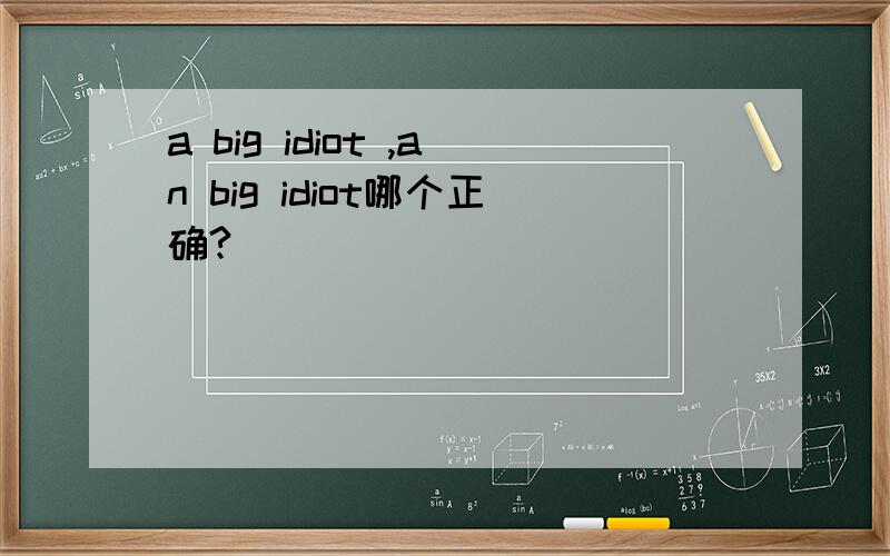 a big idiot ,an big idiot哪个正确?