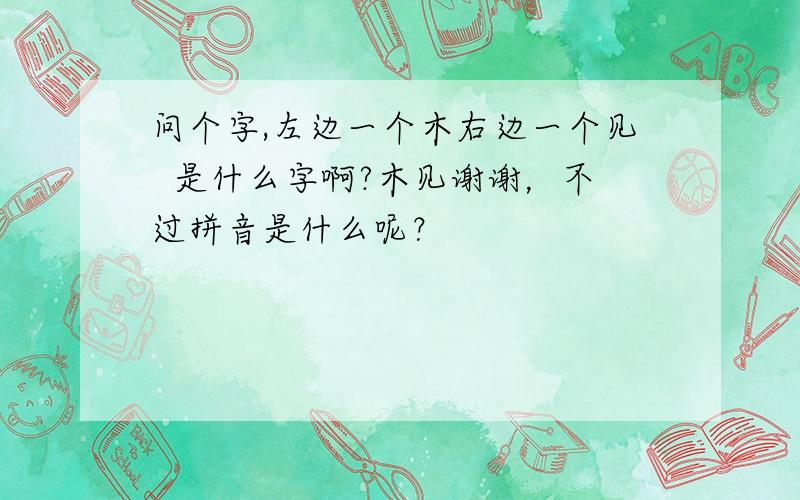 问个字,左边一个木右边一个见  是什么字啊?木见谢谢，不过拼音是什么呢？