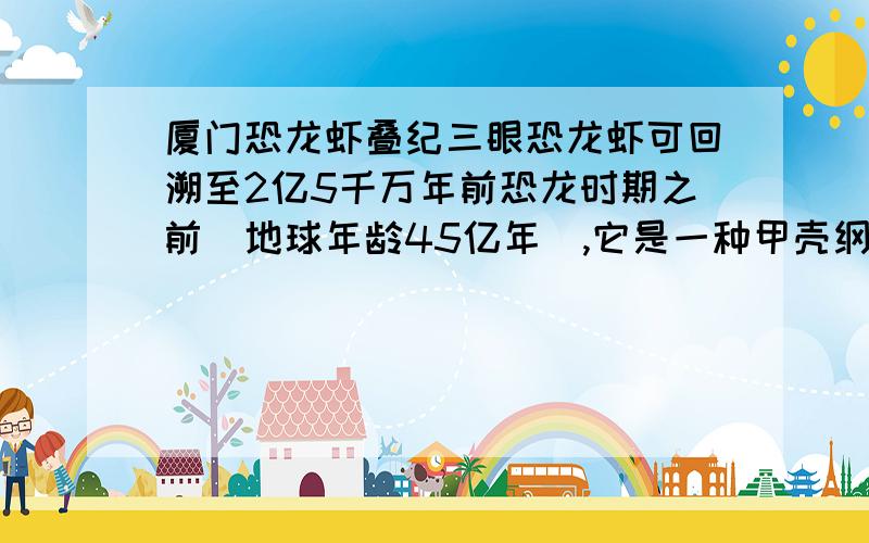 厦门恐龙虾叠纪三眼恐龙虾可回溯至2亿5千万年前恐龙时期之前（地球年龄45亿年）,它是一种甲壳纲动物,外型类似大螃蟹的缩小版!与它类似的生物族群有：龙虾、螯虾、水蚤、生阴虱等.它