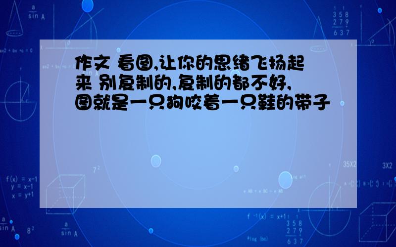 作文 看图,让你的思绪飞扬起来 别复制的,复制的都不好,图就是一只狗咬着一只鞋的带子