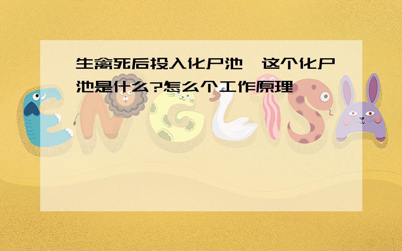 生禽死后投入化尸池,这个化尸池是什么?怎么个工作原理