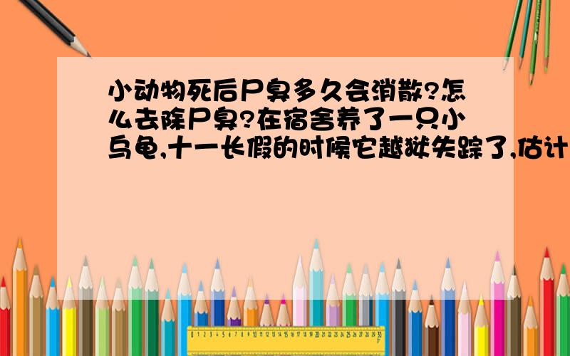 小动物死后尸臭多久会消散?怎么去除尸臭?在宿舍养了一只小乌龟,十一长假的时候它越狱失踪了,估计死在宿舍哪个角落里了.自从它失踪后一股特别浓的尸臭味隔几日就出现一次.求告知怎么