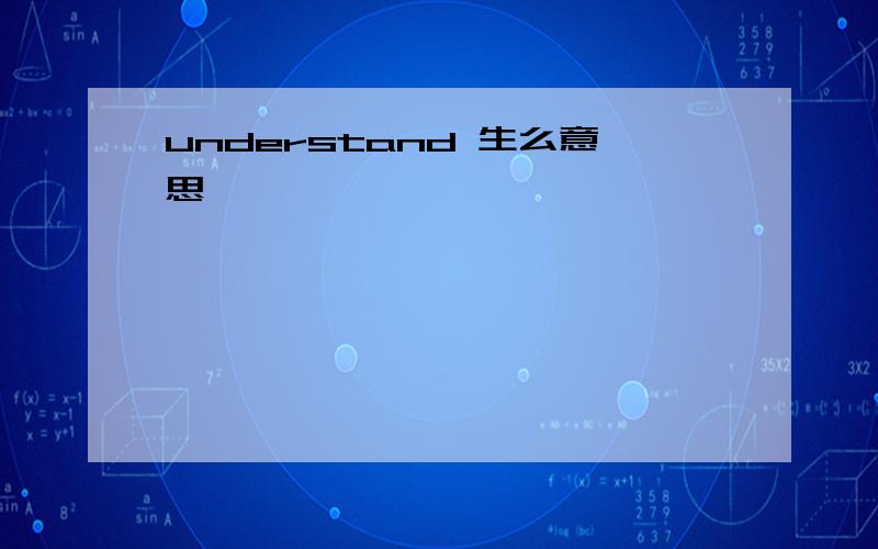 understand 生么意思