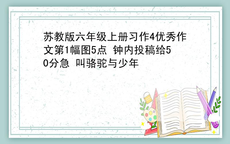 苏教版六年级上册习作4优秀作文第1幅图5点 钟内投稿给50分急 叫骆驼与少年