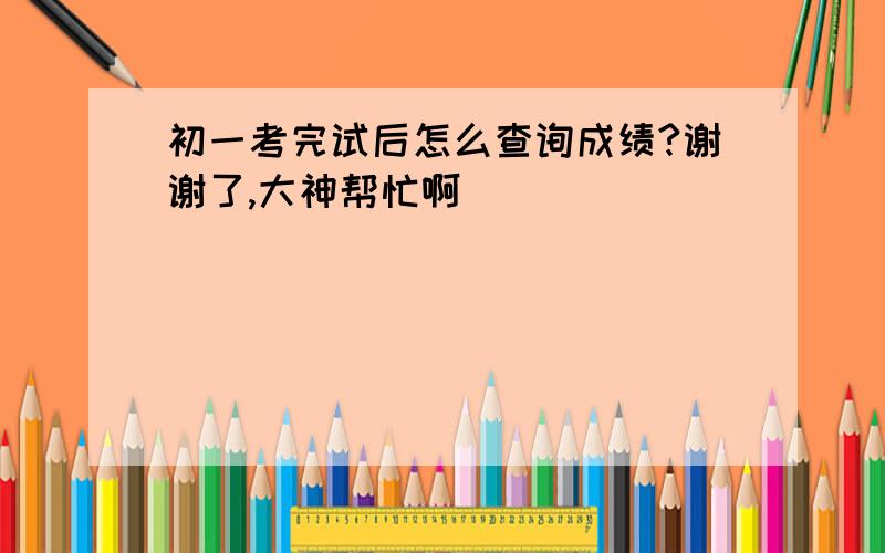 初一考完试后怎么查询成绩?谢谢了,大神帮忙啊