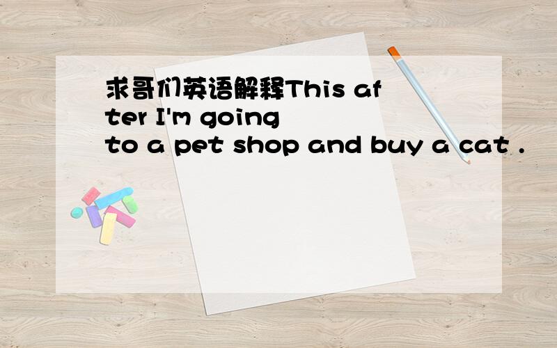 求哥们英语解释This after I'm going to a pet shop and buy a cat .