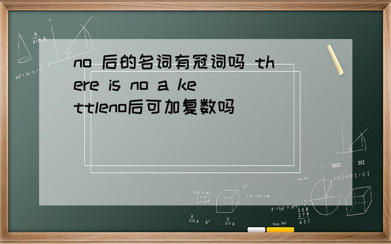 no 后的名词有冠词吗 there is no a kettleno后可加复数吗