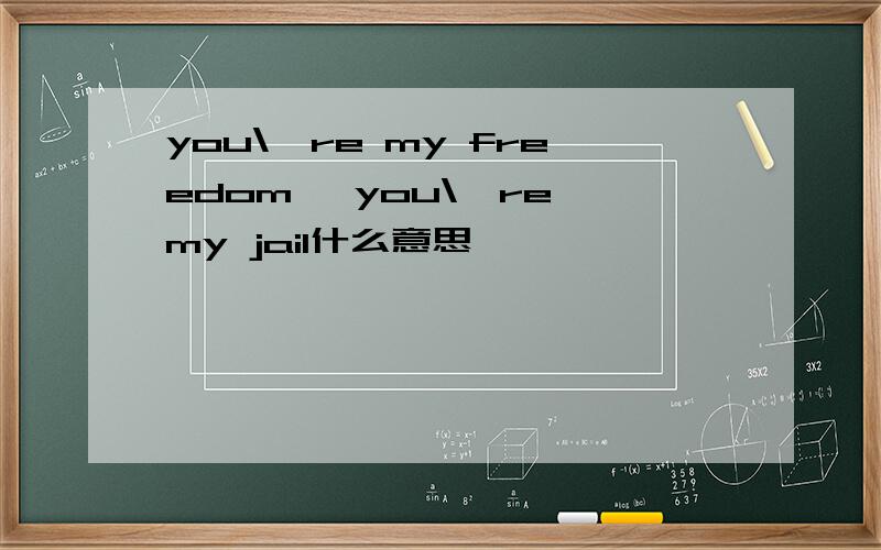 you\'re my freedom, you\'re my jail什么意思