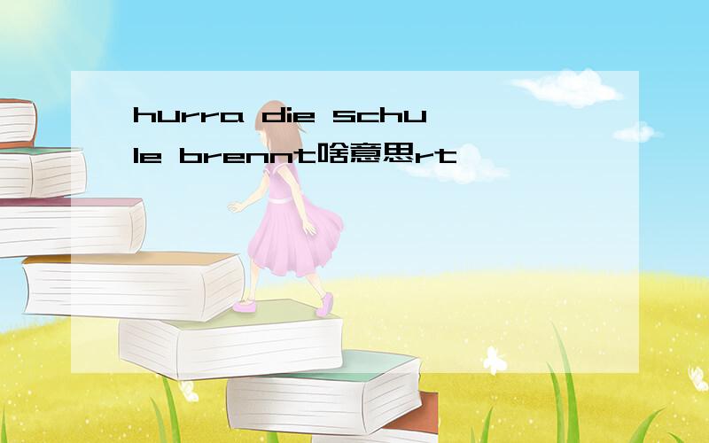 hurra die schule brennt啥意思rt