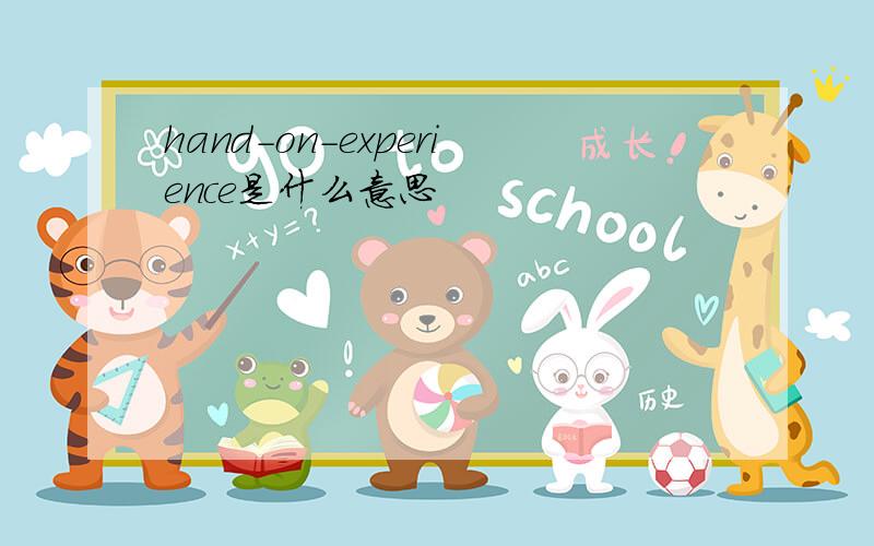 hand-on-experience是什么意思