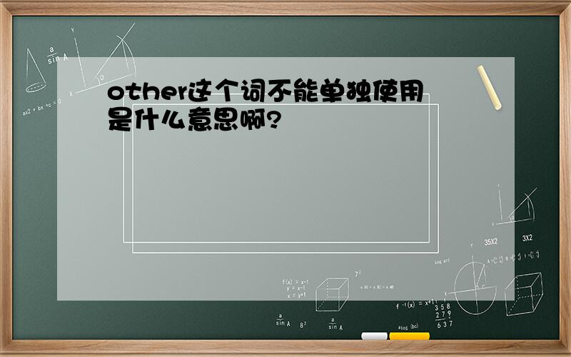 other这个词不能单独使用是什么意思啊?