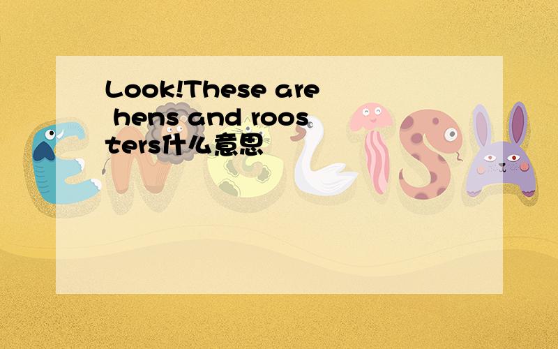 Look!These are hens and roosters什么意思