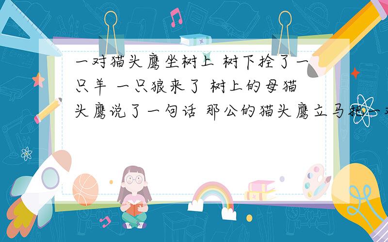 一对猫头鹰坐树上 树下拴了一只羊 一只狼来了 树上的母猫头鹰说了一句话 那公的猫头鹰立马把一对猫头鹰坐树上 树下拴了一只羊 一只狼来了 树上的母猫头鹰说了一句话 那公的猫头鹰立