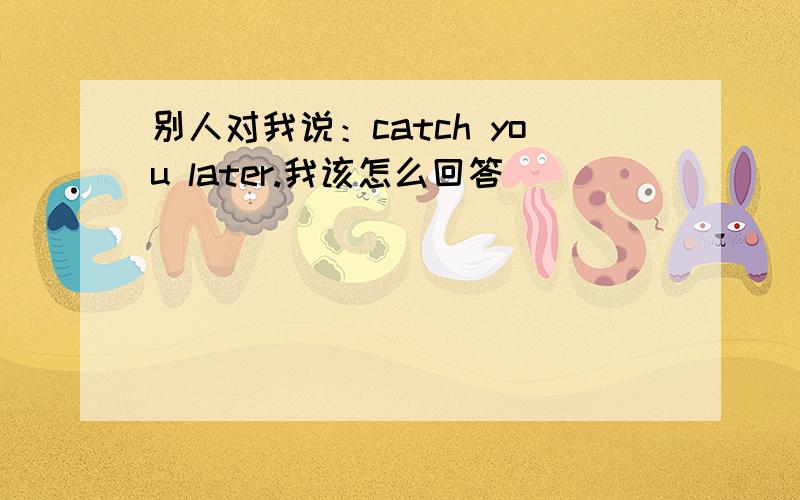 别人对我说：catch you later.我该怎么回答