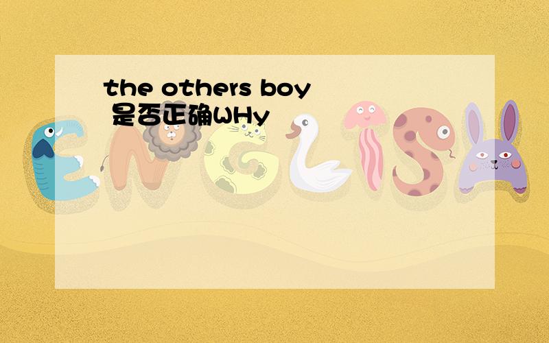 the others boy 是否正确WHy