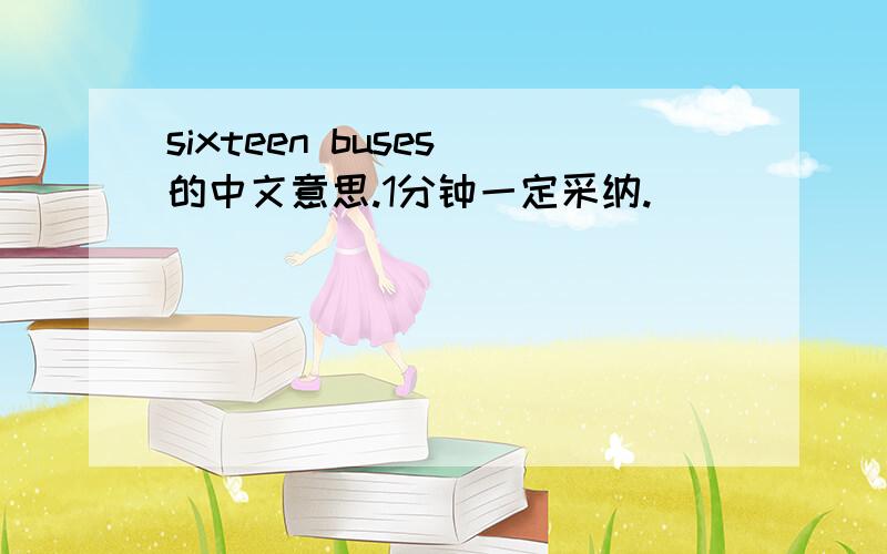 sixteen buses 的中文意思.1分钟一定采纳.