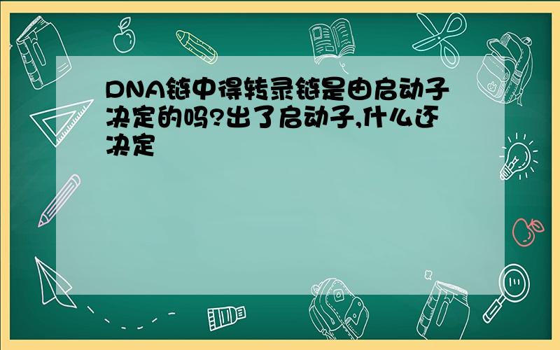 DNA链中得转录链是由启动子决定的吗?出了启动子,什么还决定