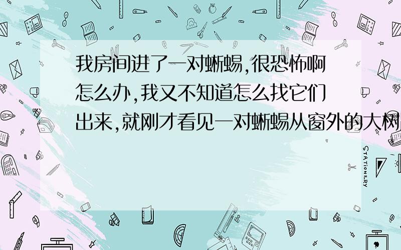 我房间进了一对蜥蜴,很恐怖啊怎么办,我又不知道怎么找它们出来,就刚才看见一对蜥蜴从窗外的大树跳进来,我房间进了一对蜥蜴,很恐怖啊怎么办,我又不知道怎么找它们出来,就刚才看见一对