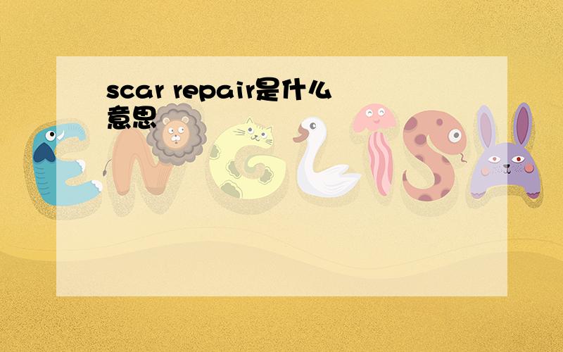 scar repair是什么意思