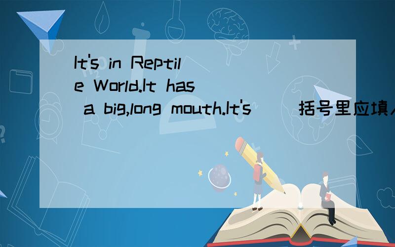 It's in Reptile World.It has a big,long mouth.It's( )括号里应填入什么动物名称?