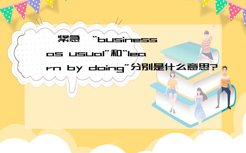 【紧急】“business as usual”和“learn by doing”分别是什么意思?