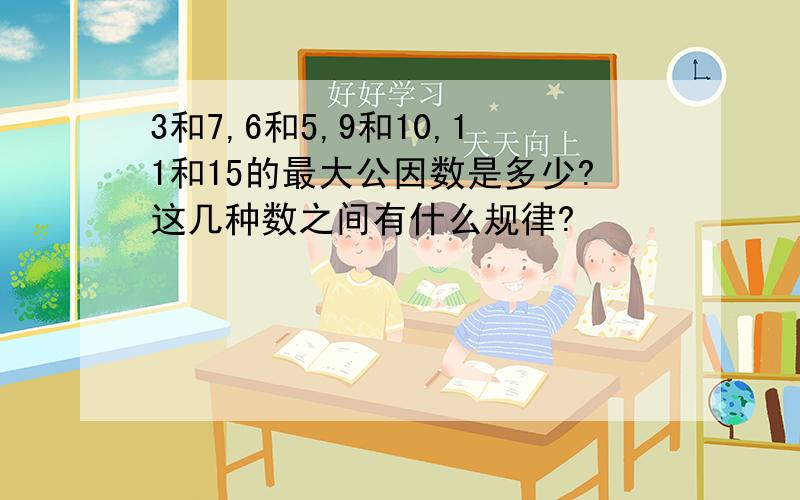 3和7,6和5,9和10,11和15的最大公因数是多少?这几种数之间有什么规律?