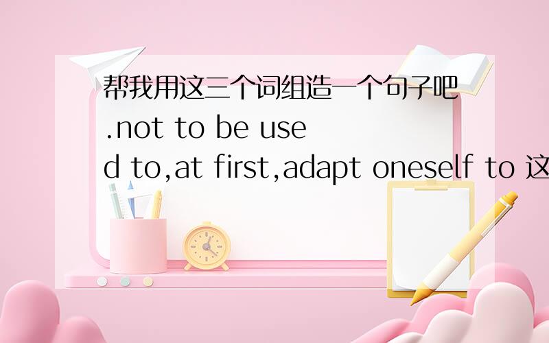 帮我用这三个词组造一个句子吧.not to be used to,at first,adapt oneself to 这三个词组出现在一句话当中.