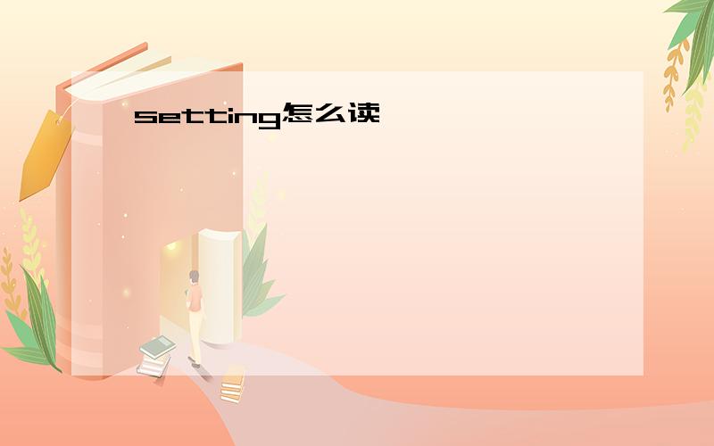 setting怎么读