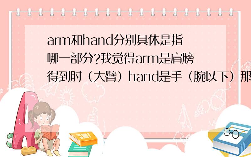 arm和hand分别具体是指哪一部分?我觉得arm是肩膀得到肘（大臂）hand是手（腕以下）那肘到腕这部分呢（小臂）