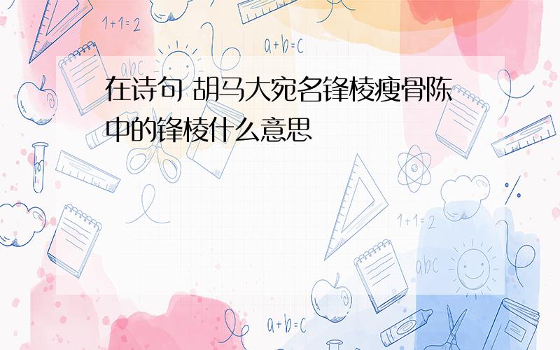 在诗句 胡马大宛名锋棱瘦骨陈中的锋棱什么意思