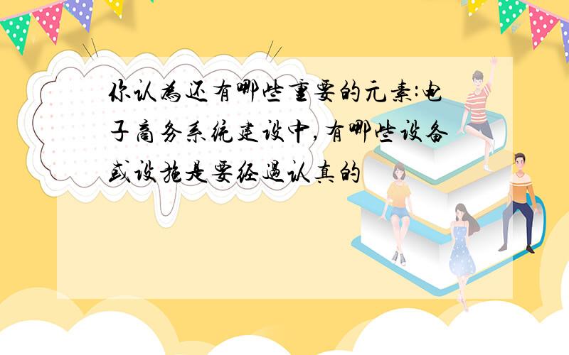 你认为还有哪些重要的元素:电子商务系统建设中,有哪些设备或设施是要经过认真的