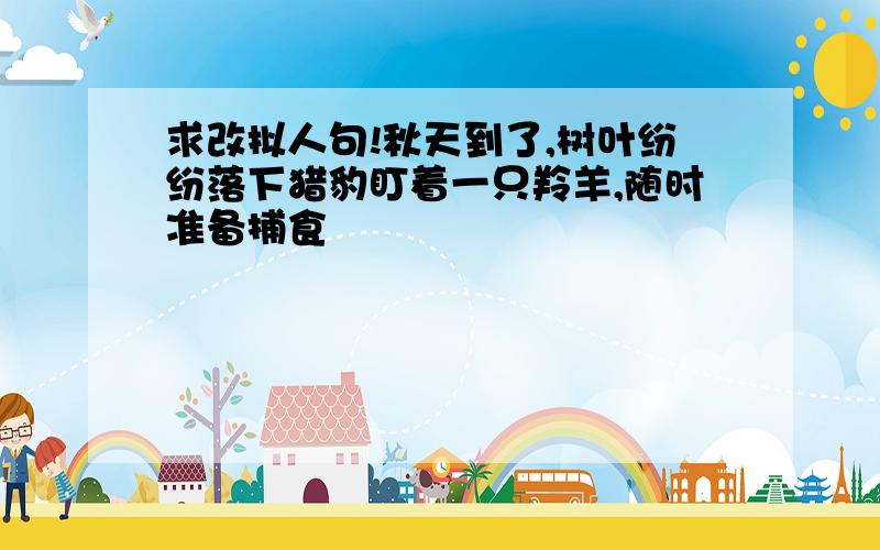 求改拟人句!秋天到了,树叶纷纷落下猎豹盯着一只羚羊,随时准备捕食