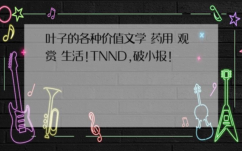 叶子的各种价值文学 药用 观赏 生活!TNND,破小报!