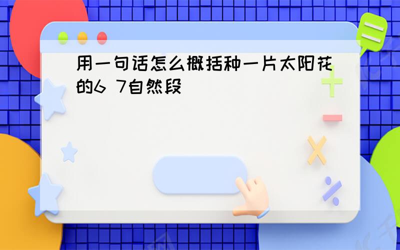 用一句话怎么概括种一片太阳花的6 7自然段